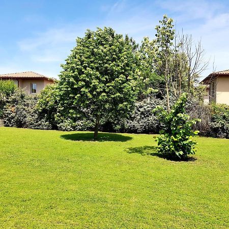 Charmant Appartement Avec Terrasse Et Jardin Au Calme Proche Bus Metro Toulouse Eksteriør bilde